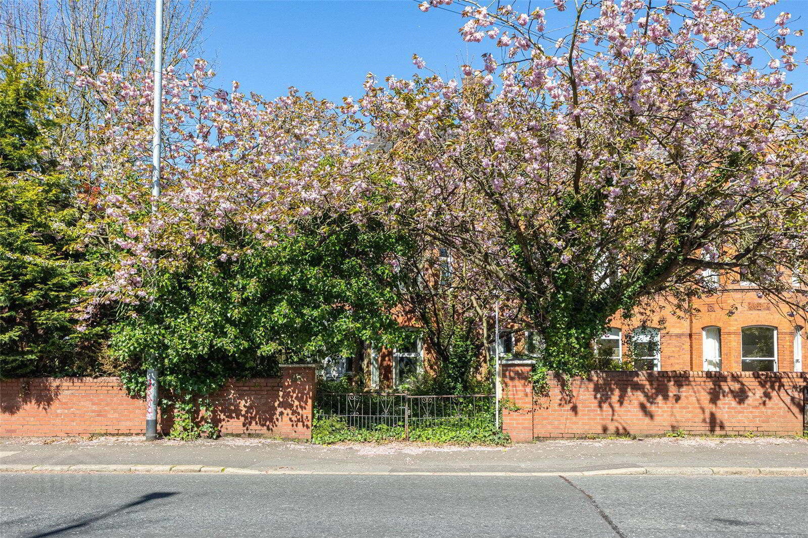 114 Balmoral Avenue 3 of 12