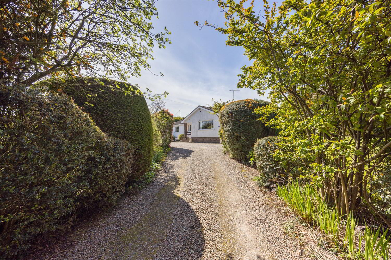 'Rockfield', 12 Ballygowan Road 2 of 33