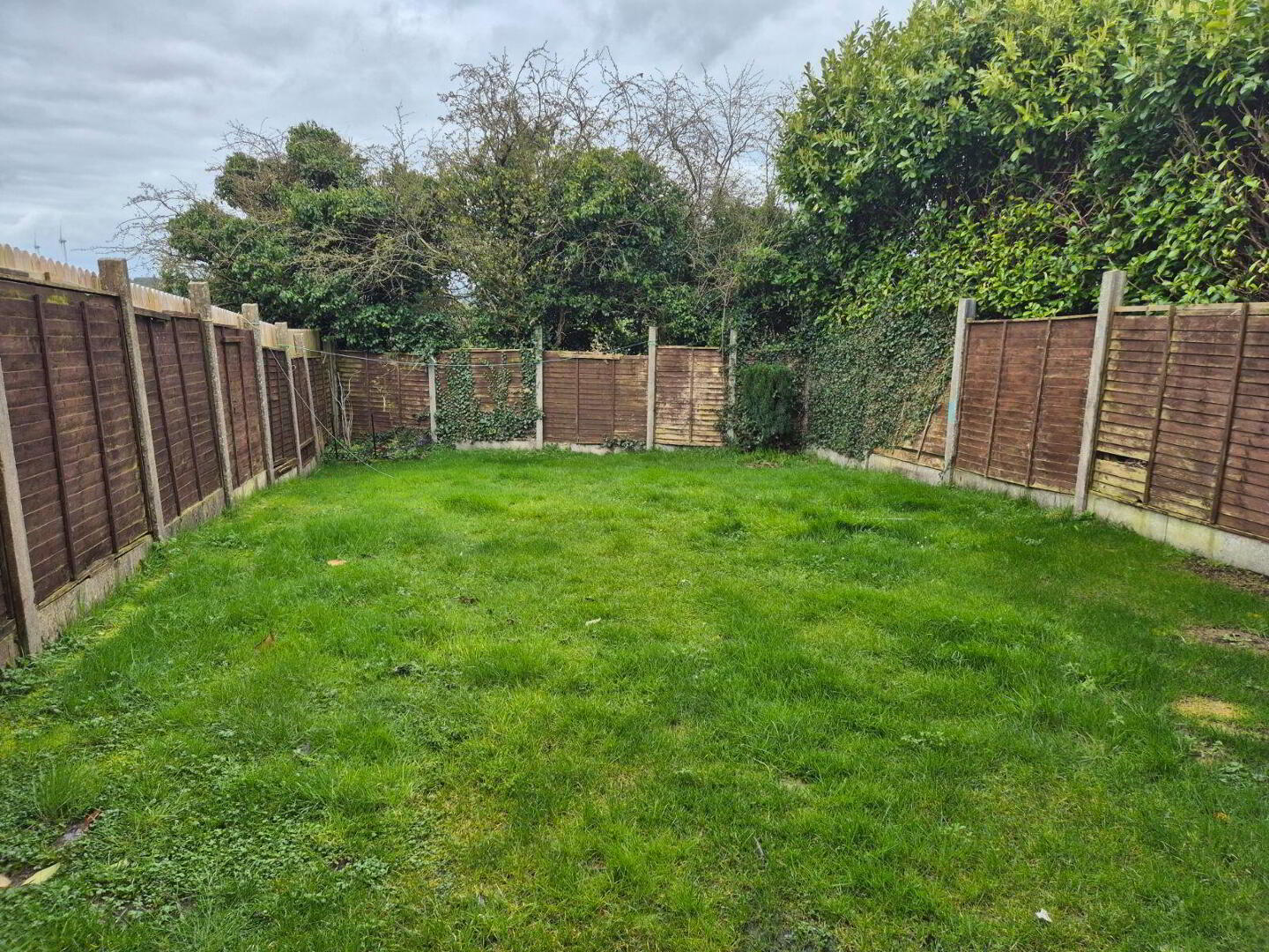 6 Bramble Wood 16 of 16