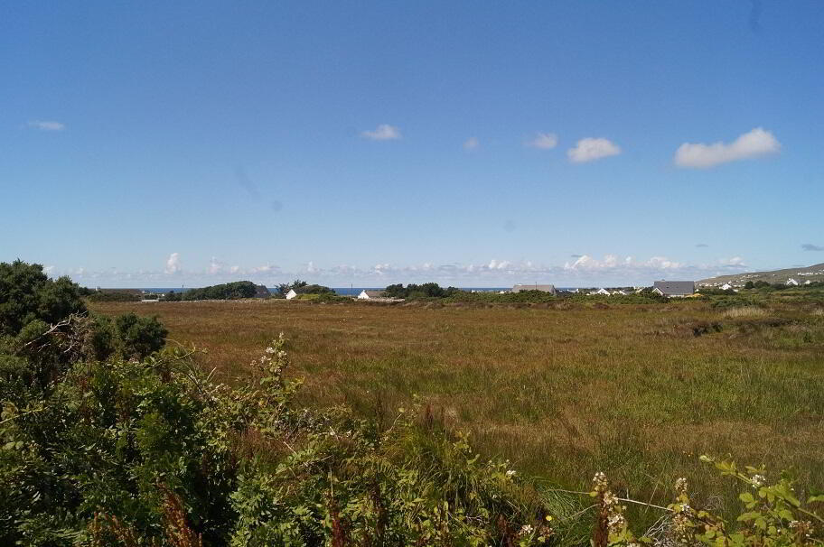 Upper Carrickboyle 7 of 7