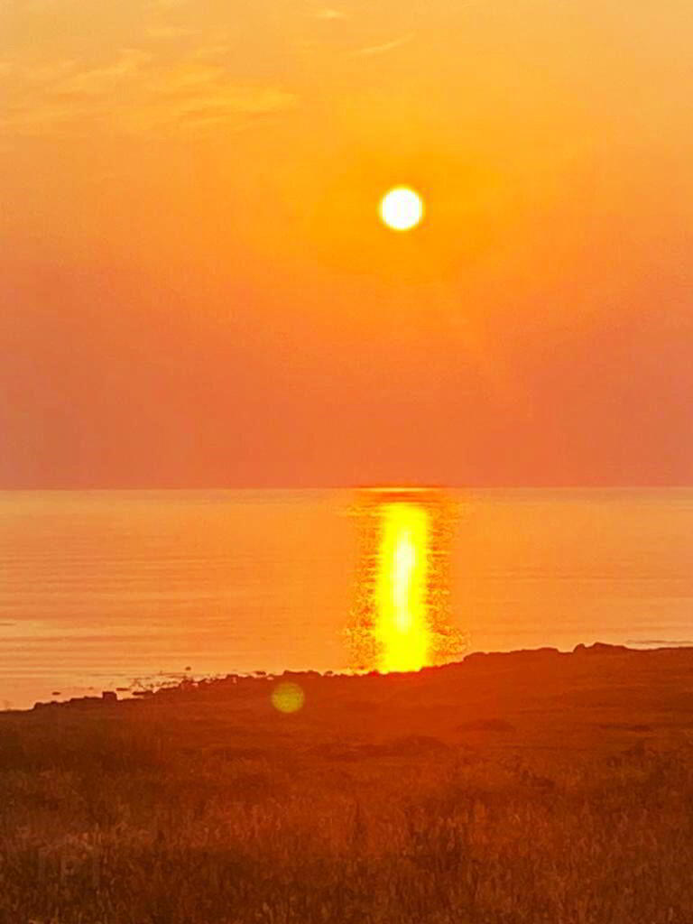 Brinaleck Gweedore 6 of 6