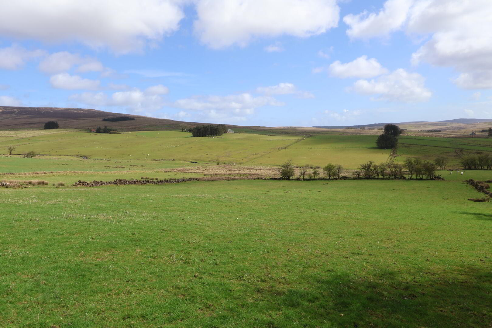 60m East Of, 38 Old Cushendun Road 8 of 9