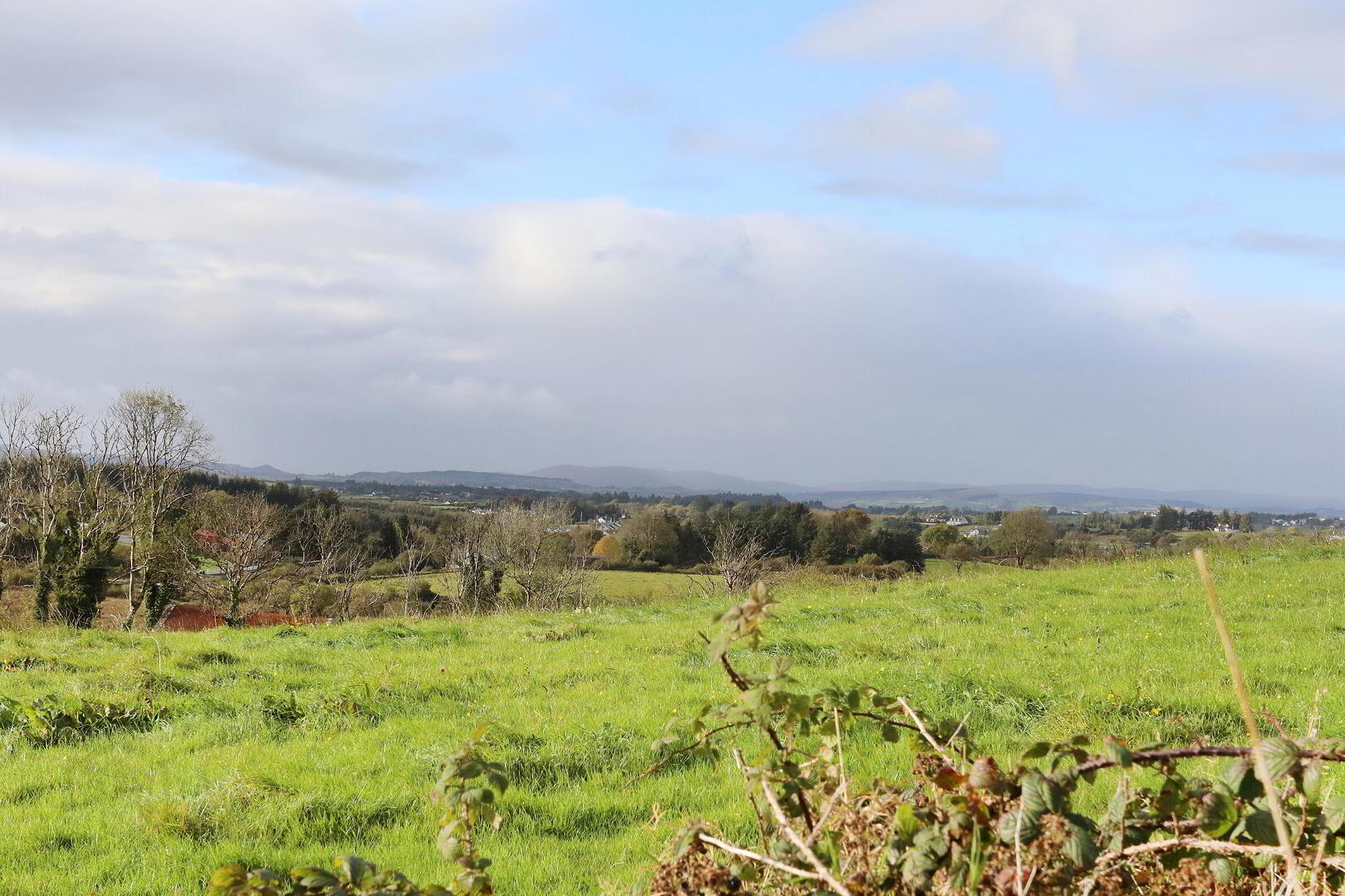 C. 12.5 Acres & Derelict Cottage 12 of 12