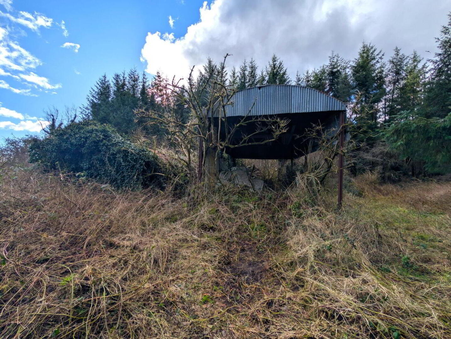 Derelict Cottage At Carracastle 13 of 14