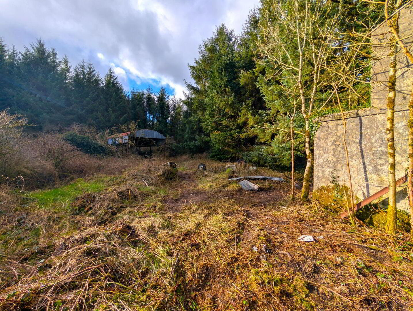 Derelict Cottage At Carracastle 14 of 14