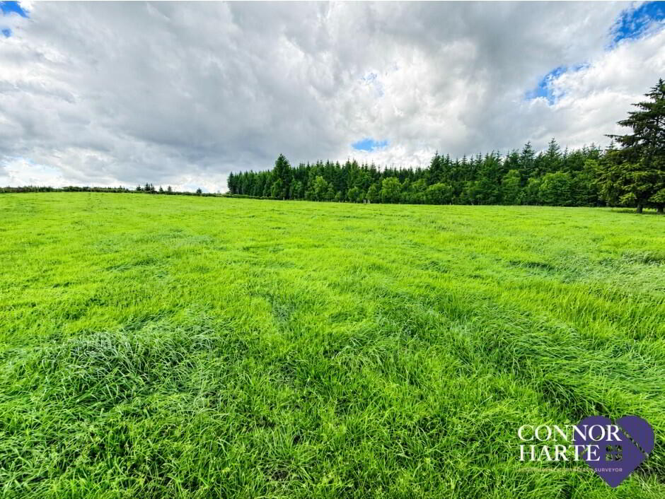 Lands At Crockanboy Road 12 of 13