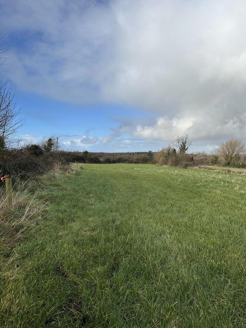 Ballyreehan 23 of 24
