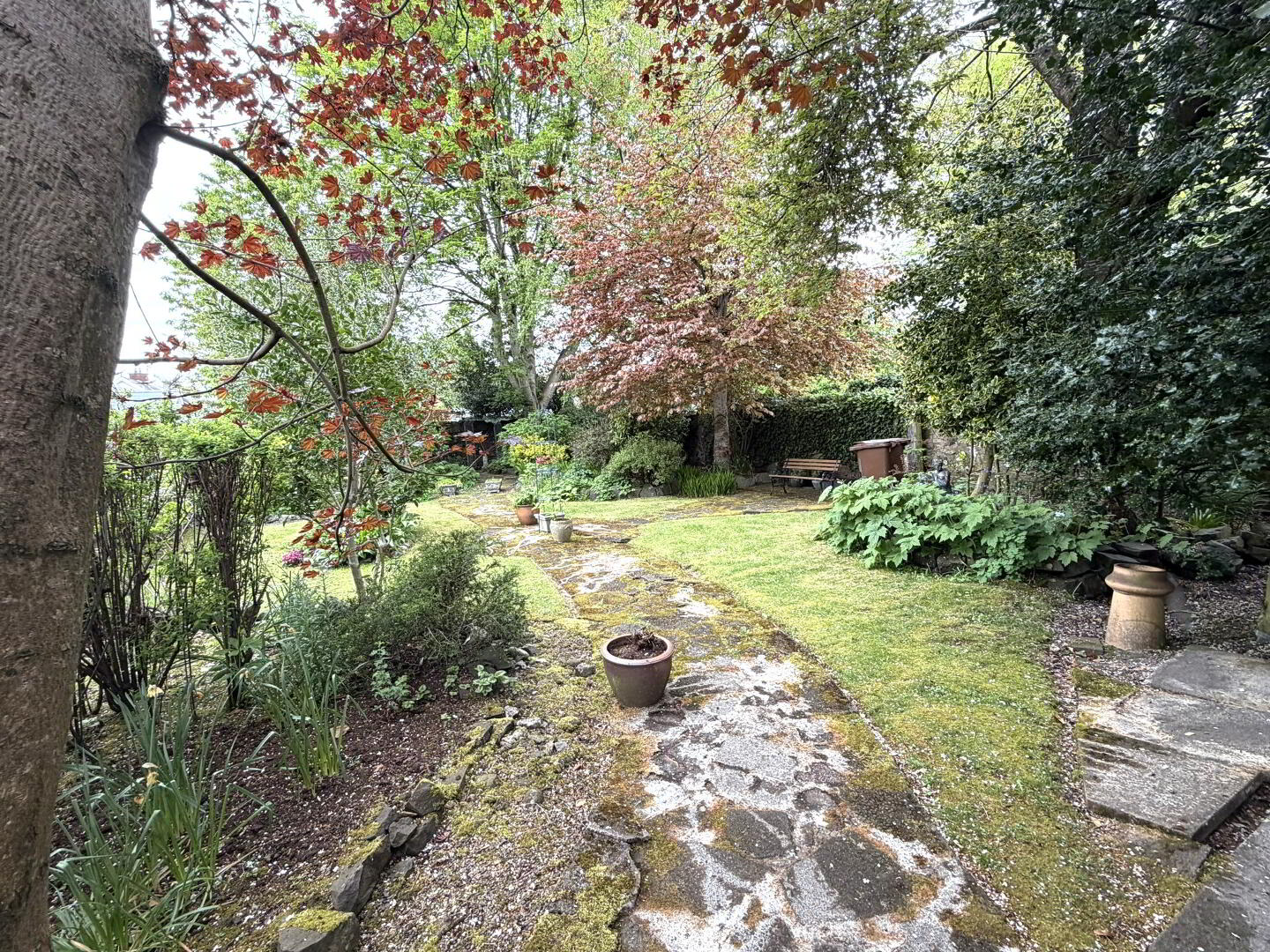 Audley Cottage, 33 Ballymoney Road 25 of 25