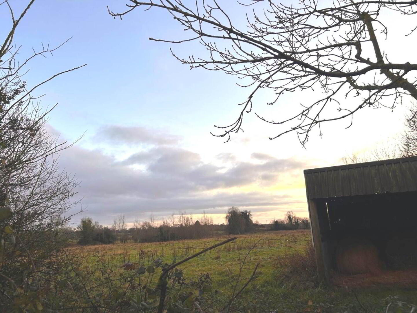 1 39ha / 3.43 Acres Ballintemple 11 of 12