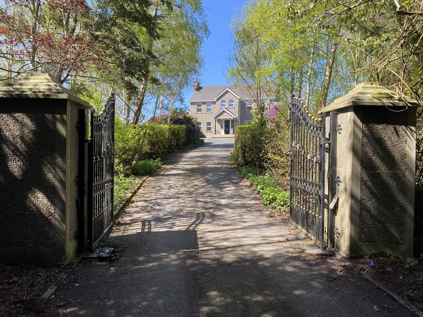 386 Upper Ballynahinch Road 3 of 44