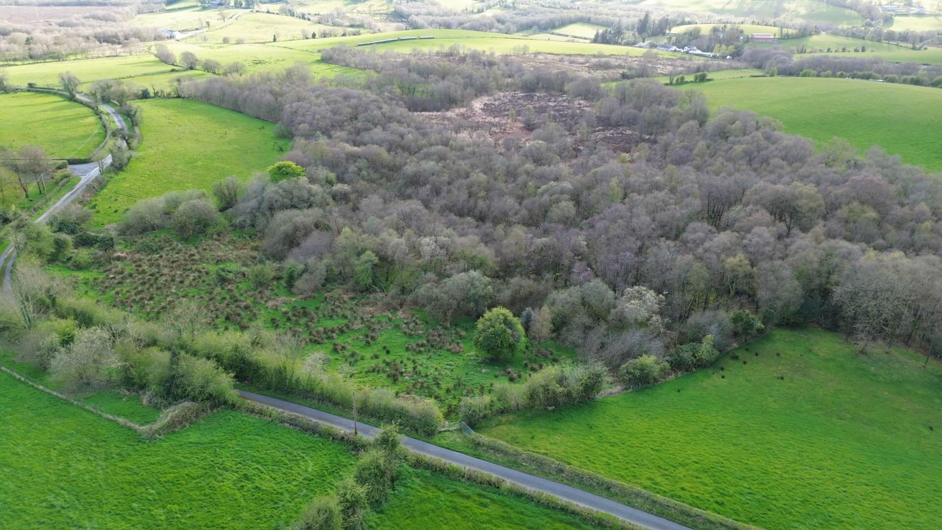 Site, & 4.5 Acres Burrow Road 19 of 20
