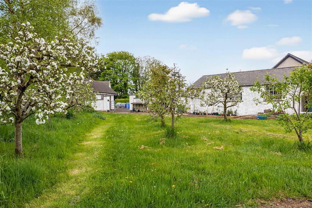 The Hollow, 14 Tullyrusk Road 29 of 30