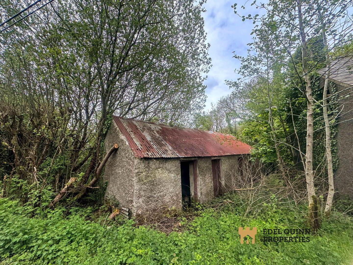 Tawnagh 6 of 7