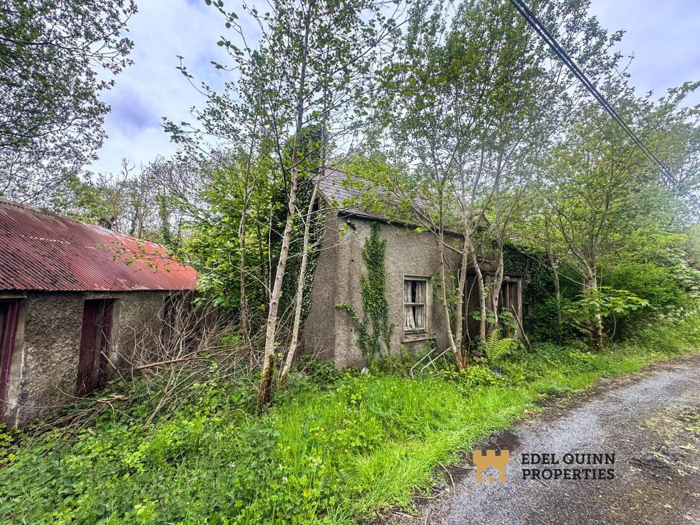 Tawnagh 7 of 7