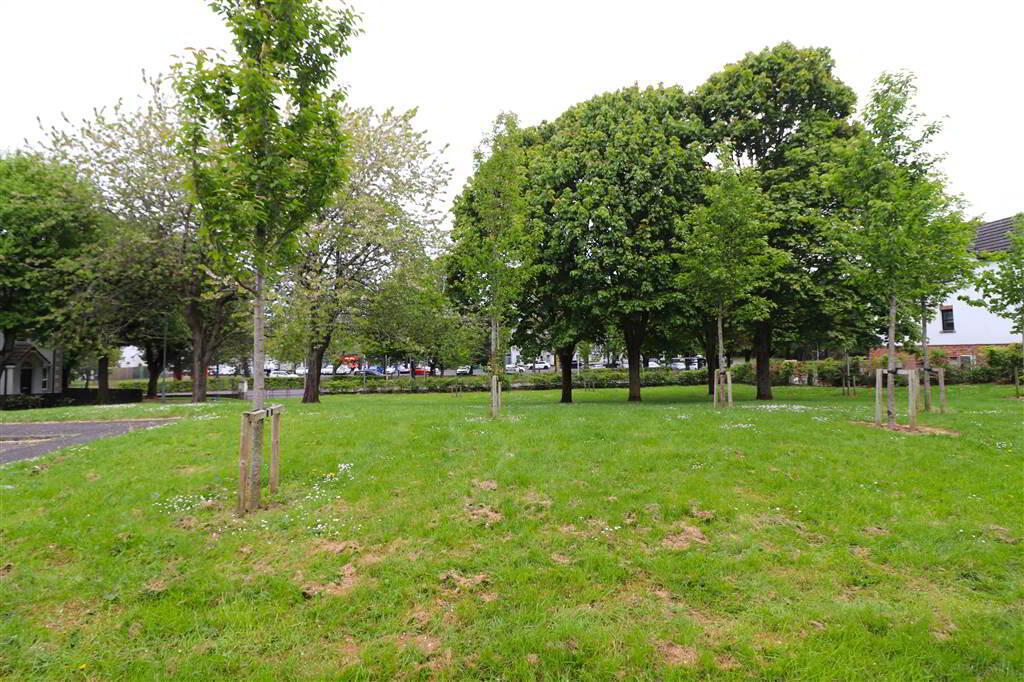 9 Drumbeg Drive 12 of 12
