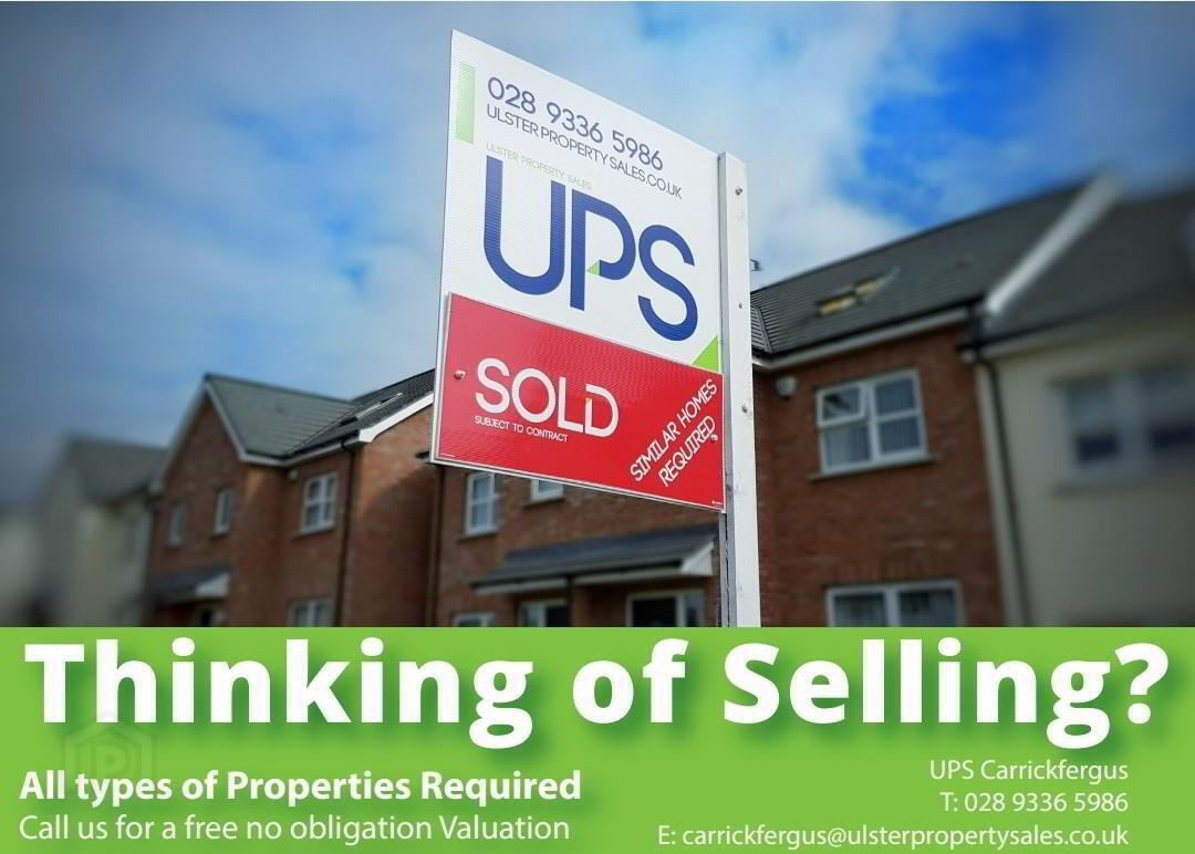 36 Davys Street 15 of 15