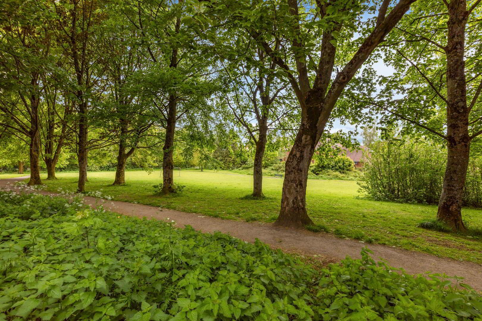 53 Gilnahirk Park 30 of 31