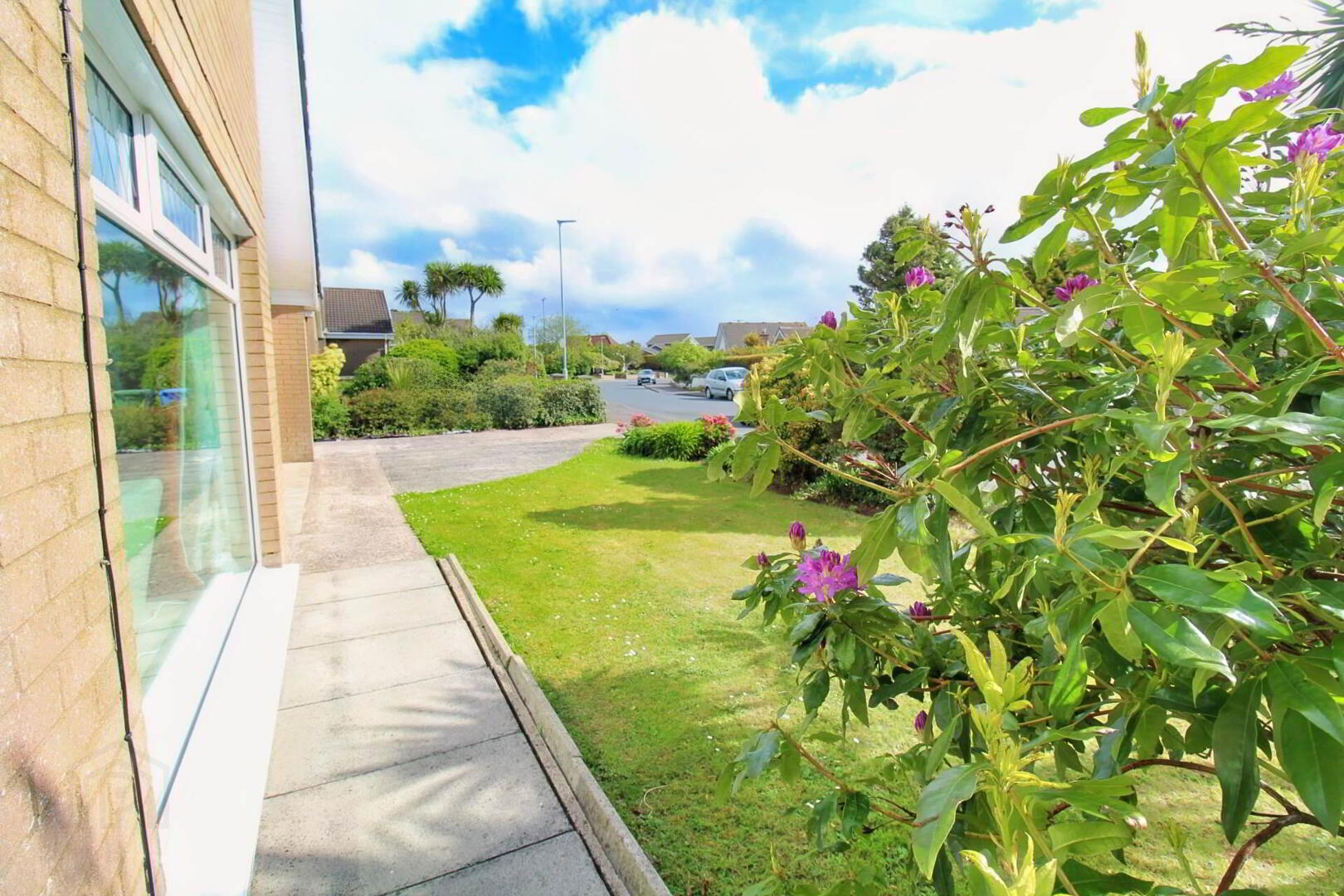 12 Navar Drive 18 of 19
