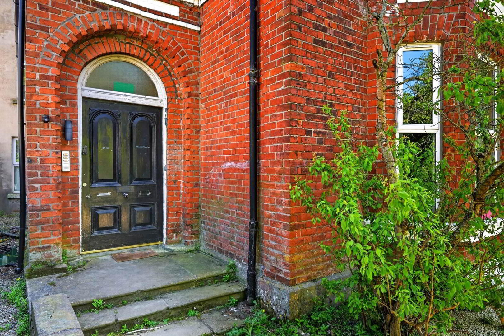 Three Apartments @, 47 Ashley Avenue 3 of 35