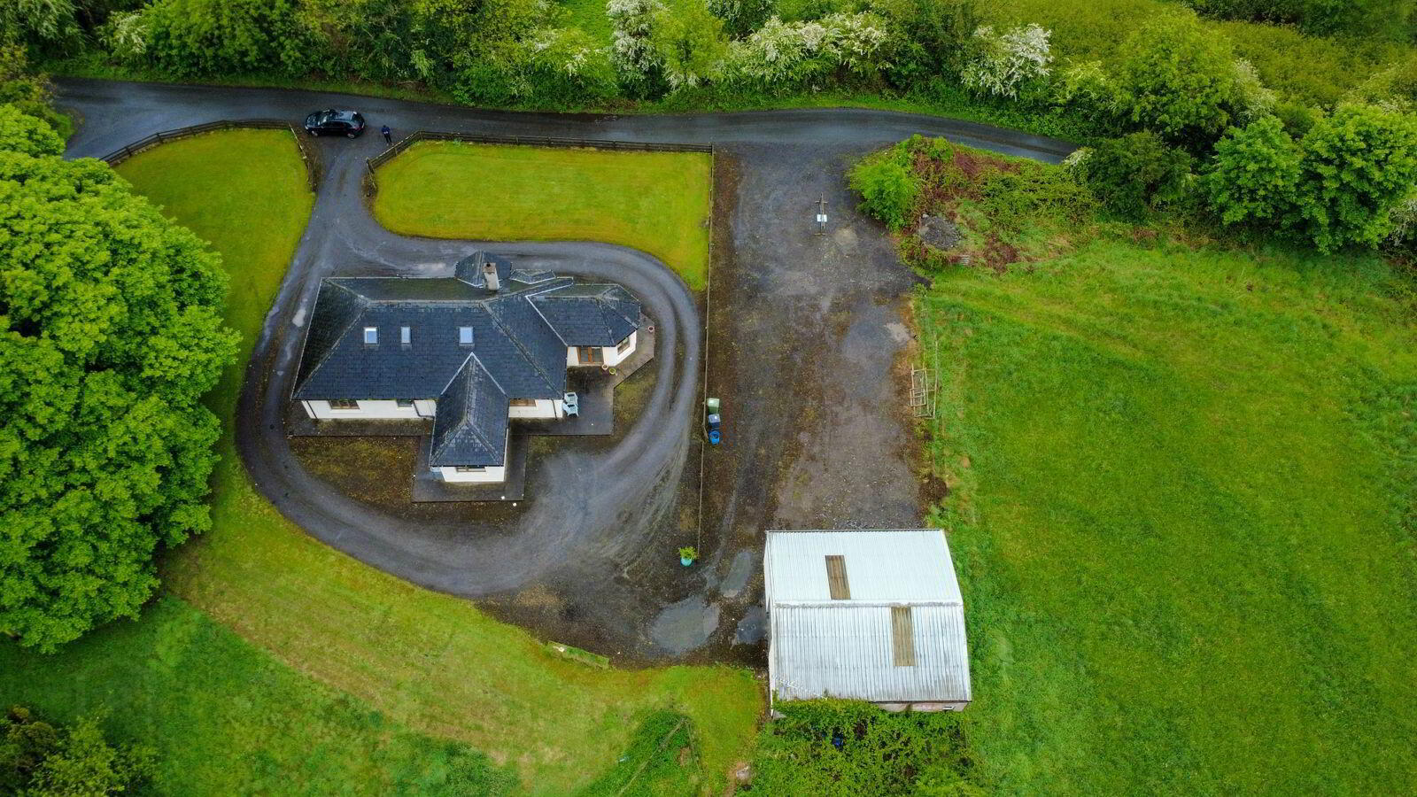 Gortloney 19 of 19