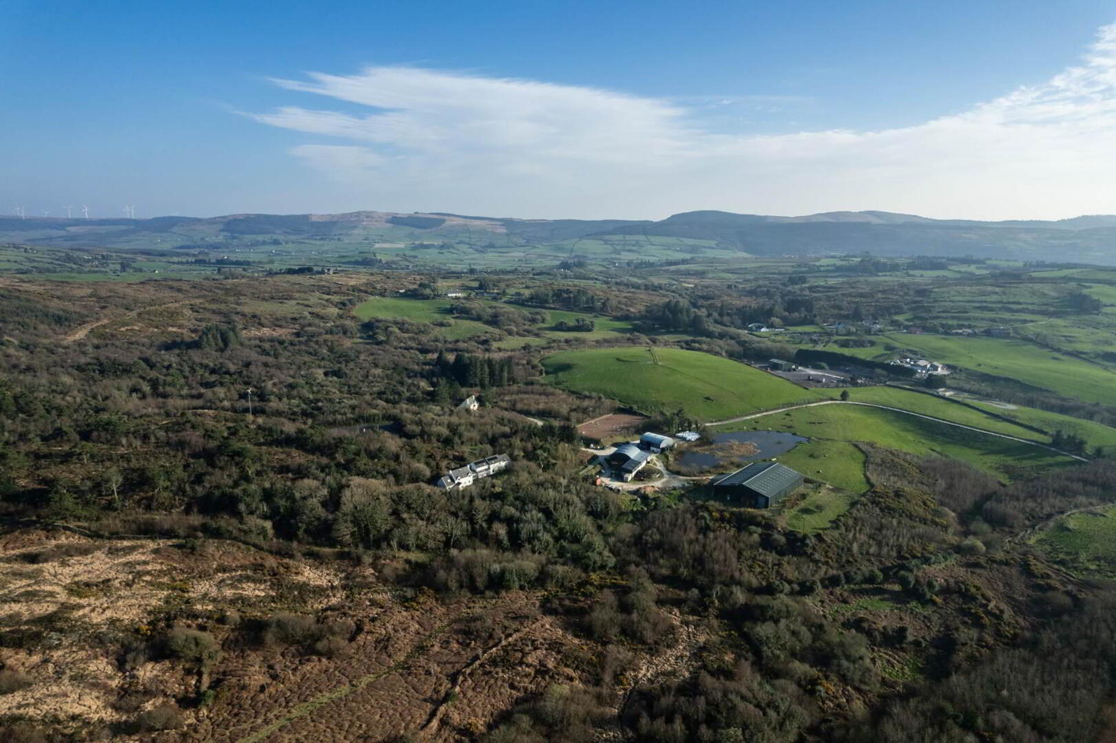 Hollyhill 44 of 45