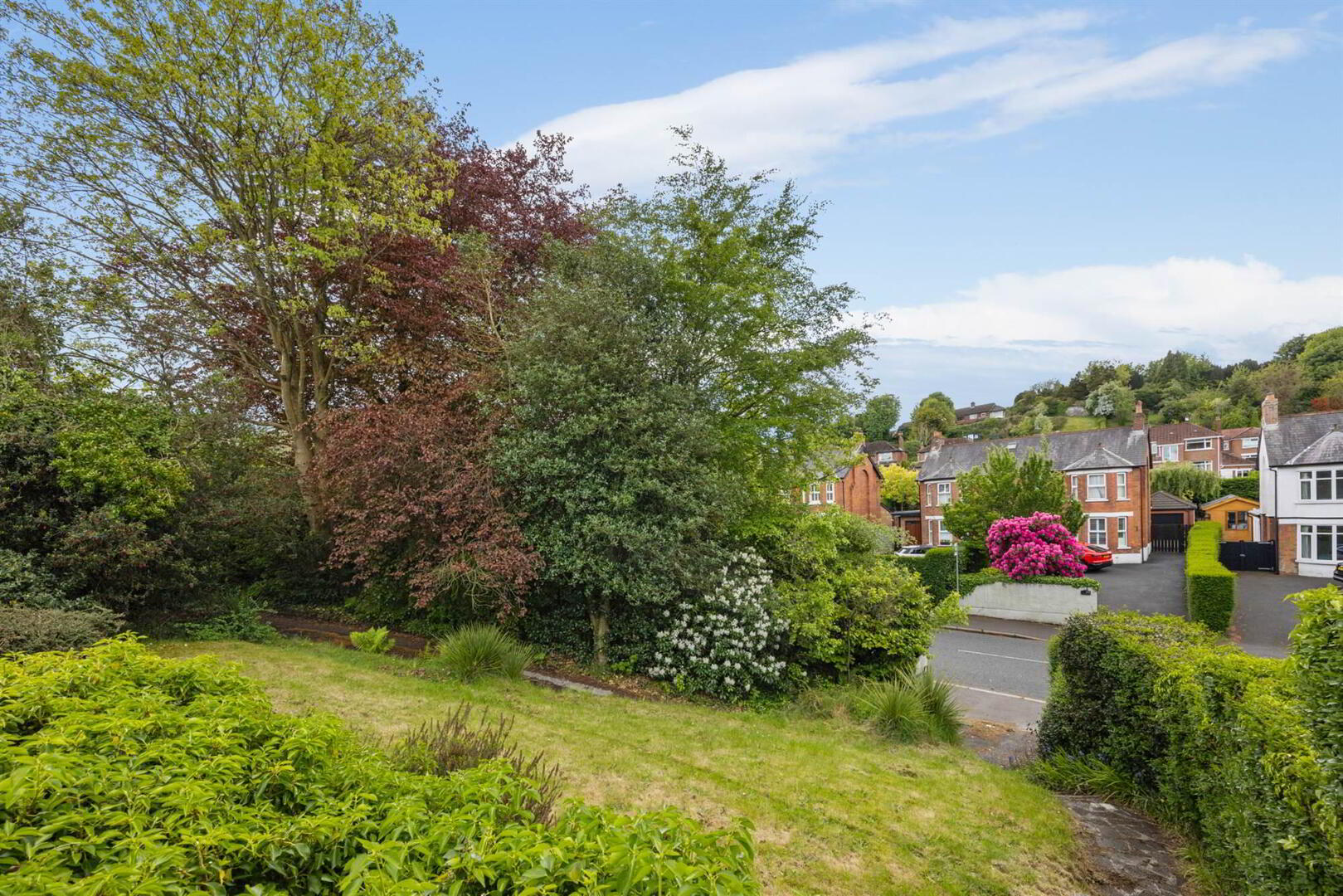 148 Sandown Road 40 of 41