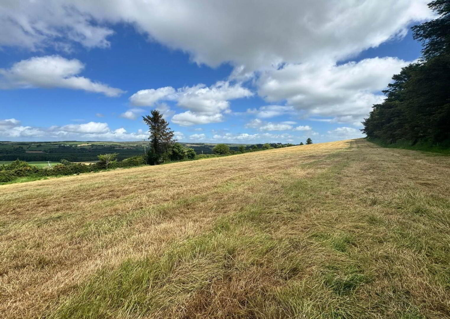 Agricultural Land 3 of 9