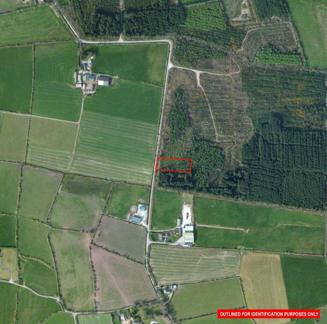 Ballinphellic 6 of 6