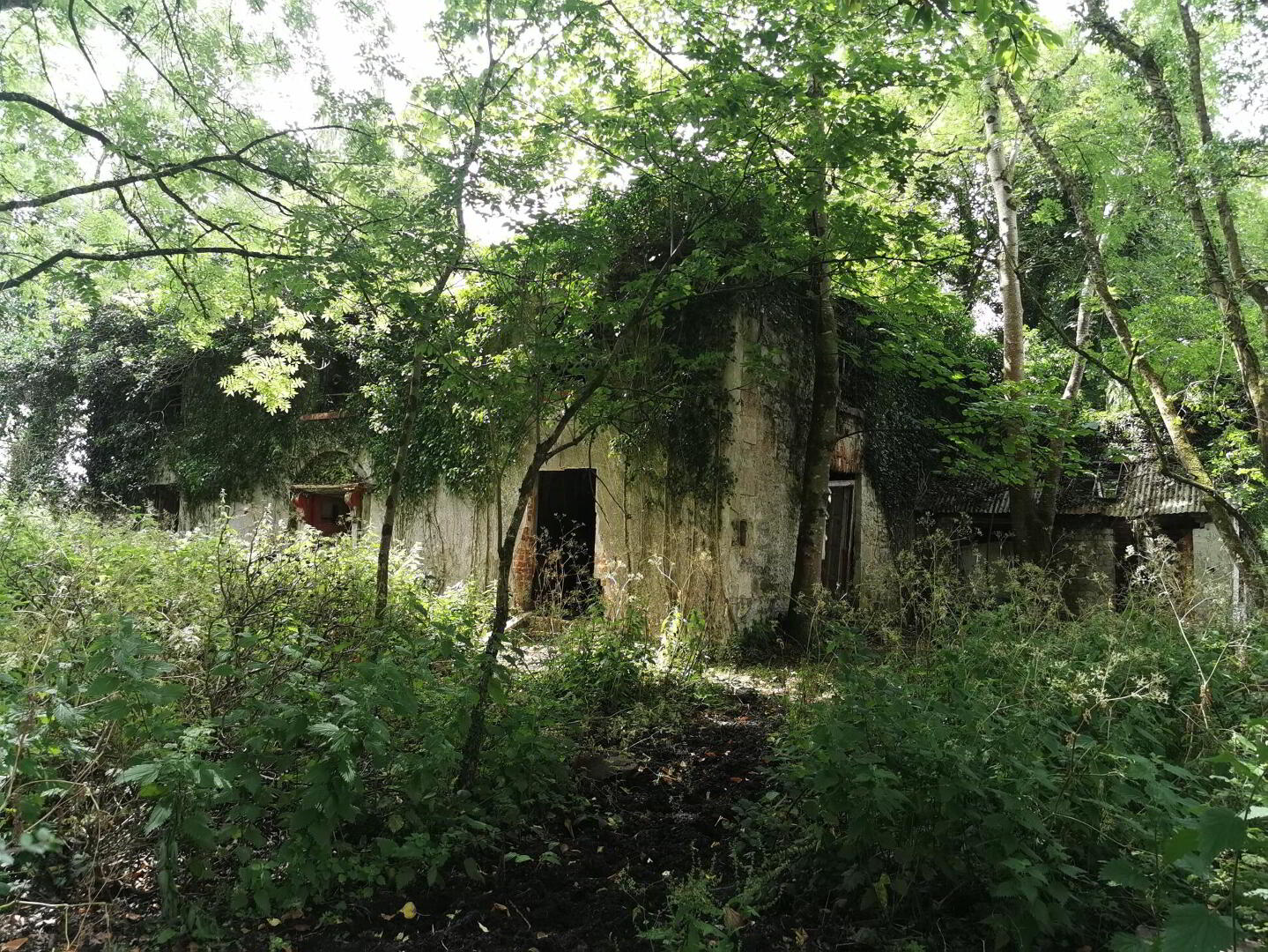 Portaliff House, Portaliffe 10 of 11