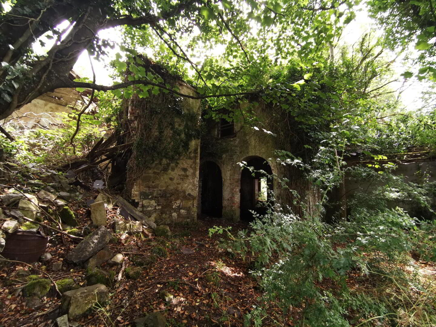 Portaliff House, Portaliffe 11 of 11