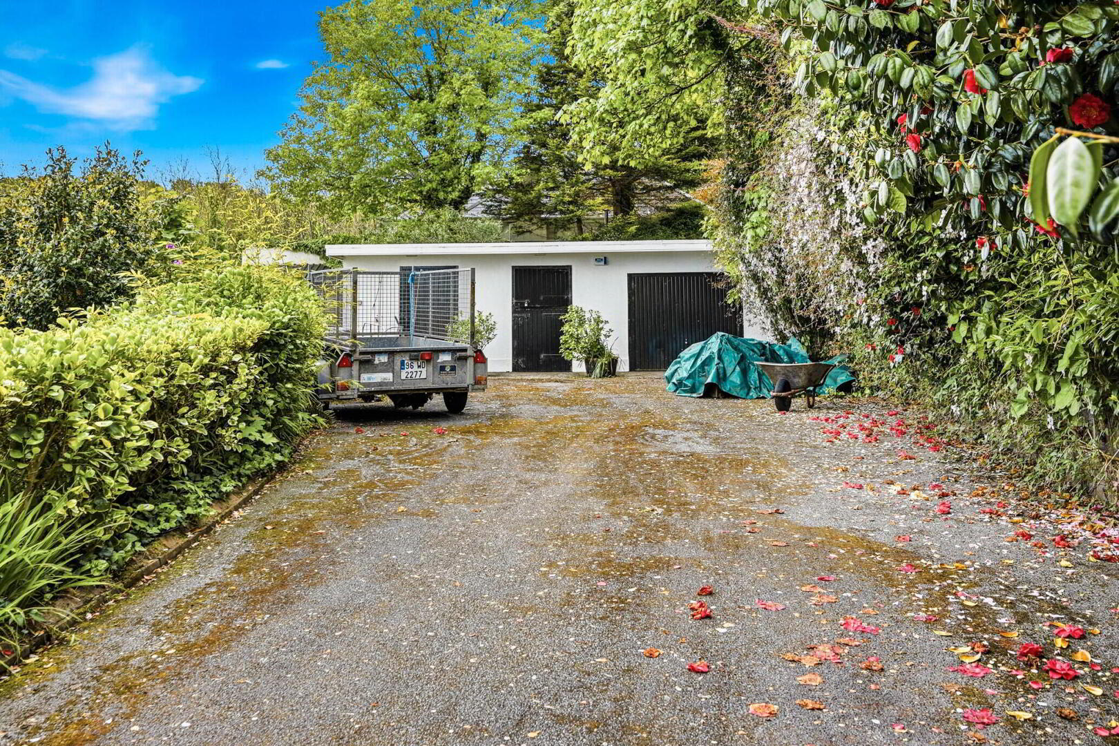 Badger House, Knockavelish 76 of 76
