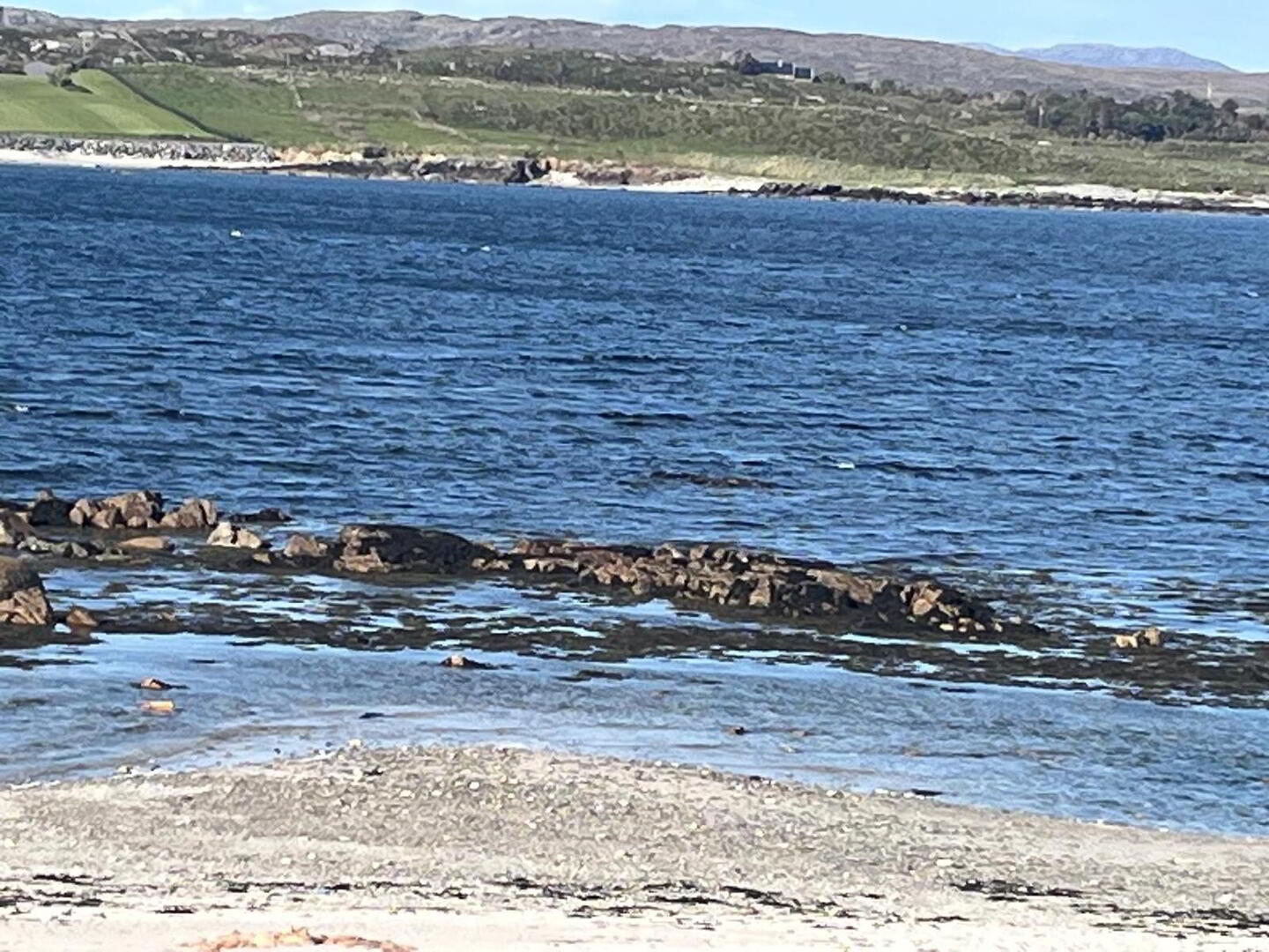 Turbot Island 33 of 33