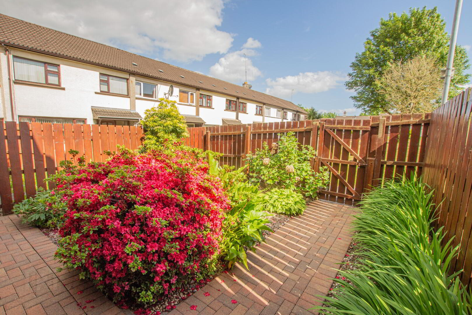 27 Greenvale Park 3 of 19