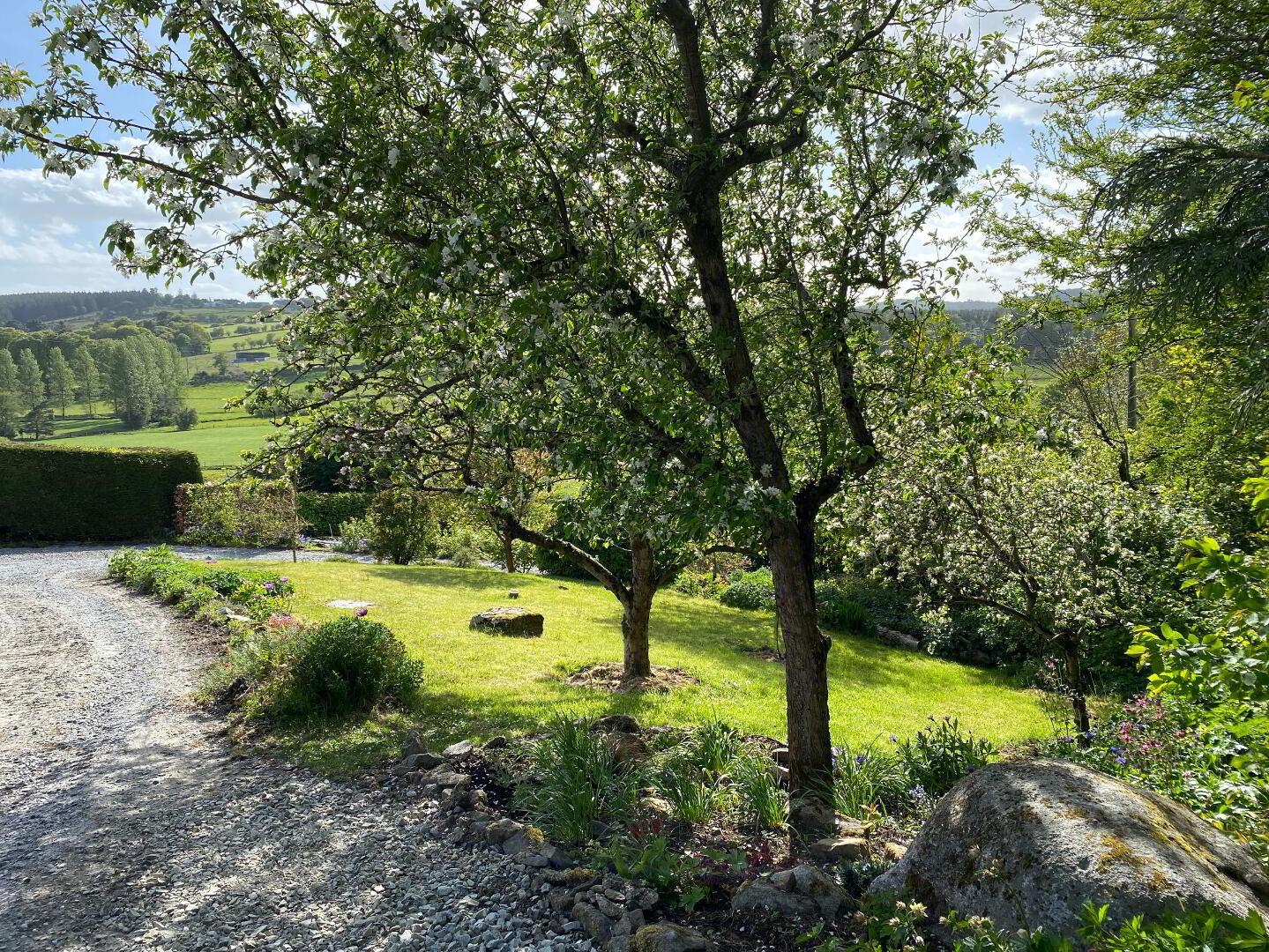 Lisheen Road 19 of 20