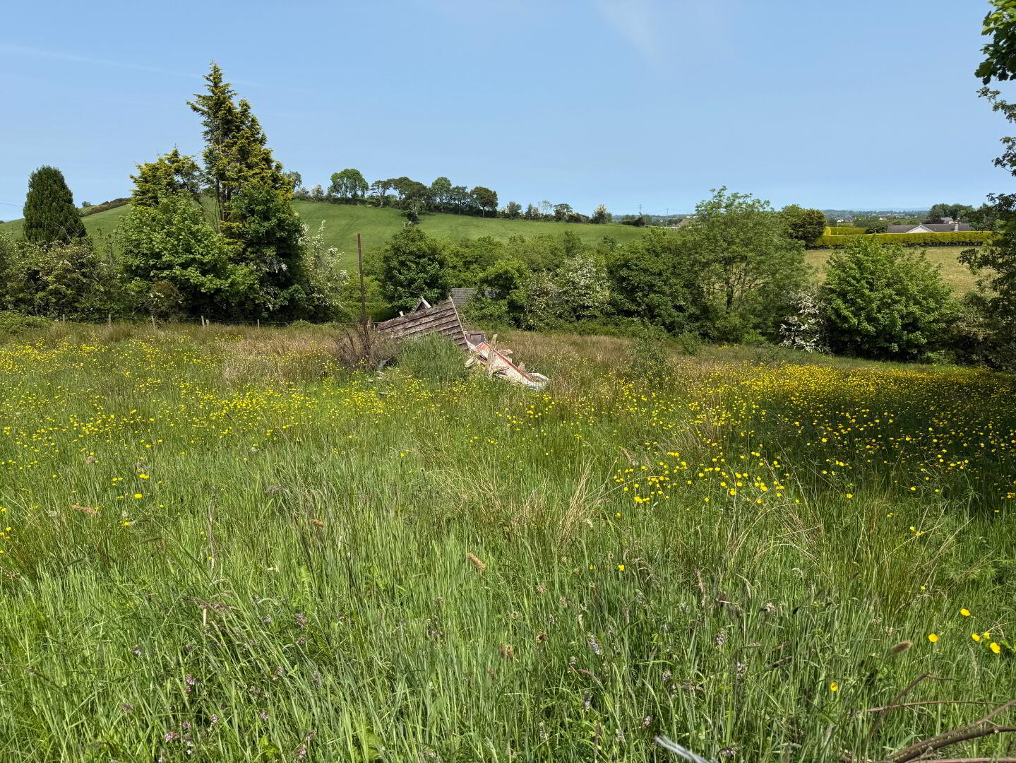 Lands At 23 Edendork Road 6 of 6