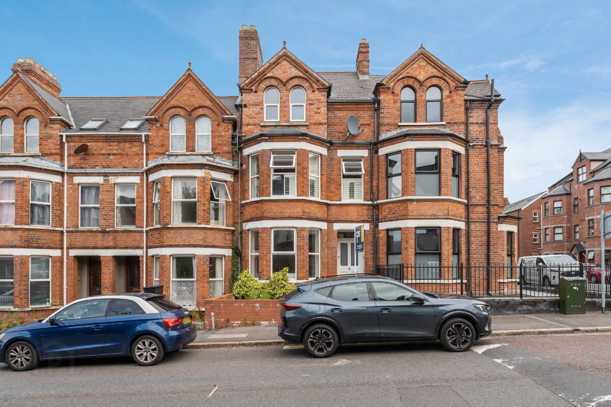 Apt 1, 89 Malone Avenue 15 of 15
