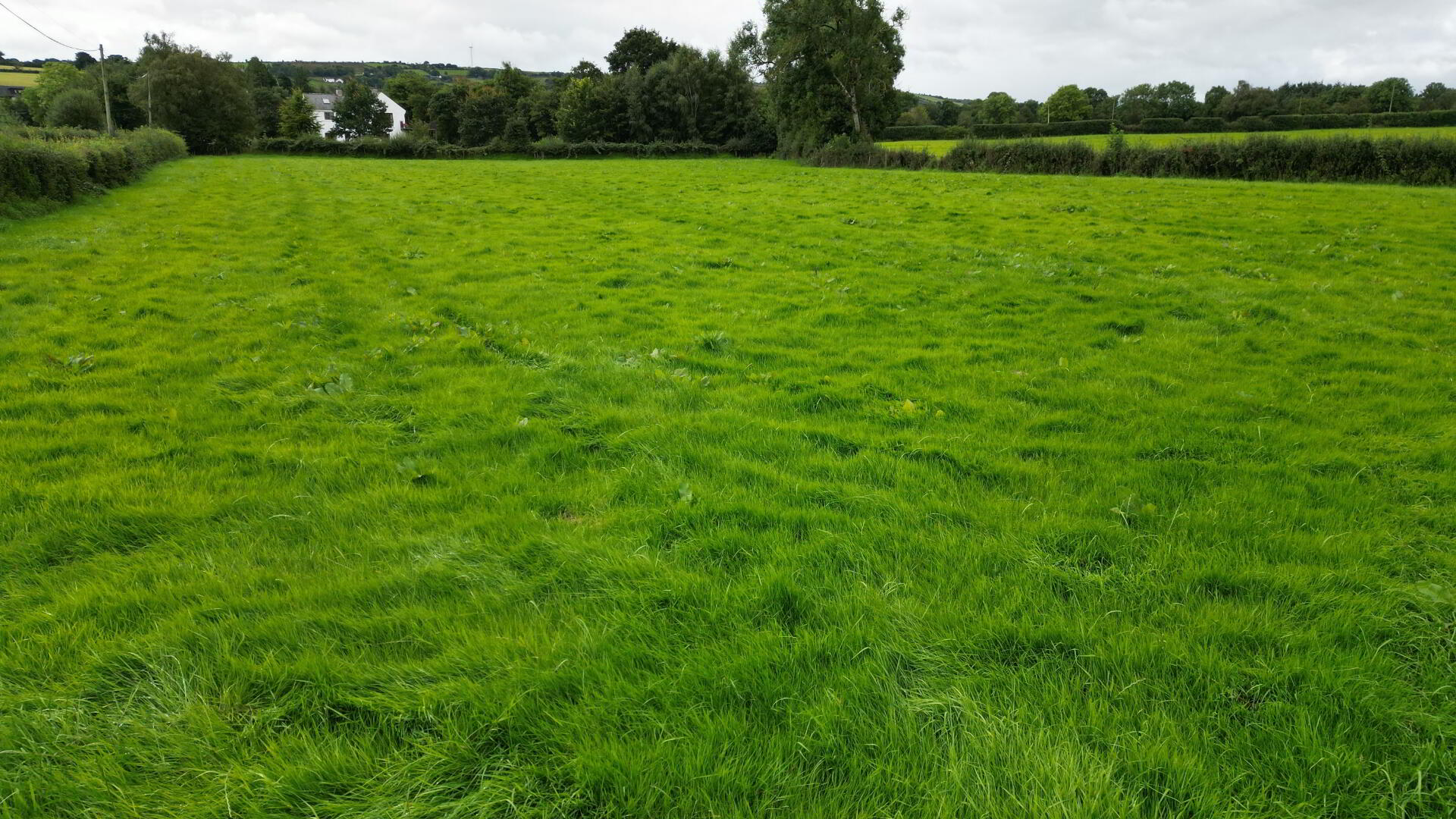 27 Acres Of Agricultural Land, Doon Road 4 of 5