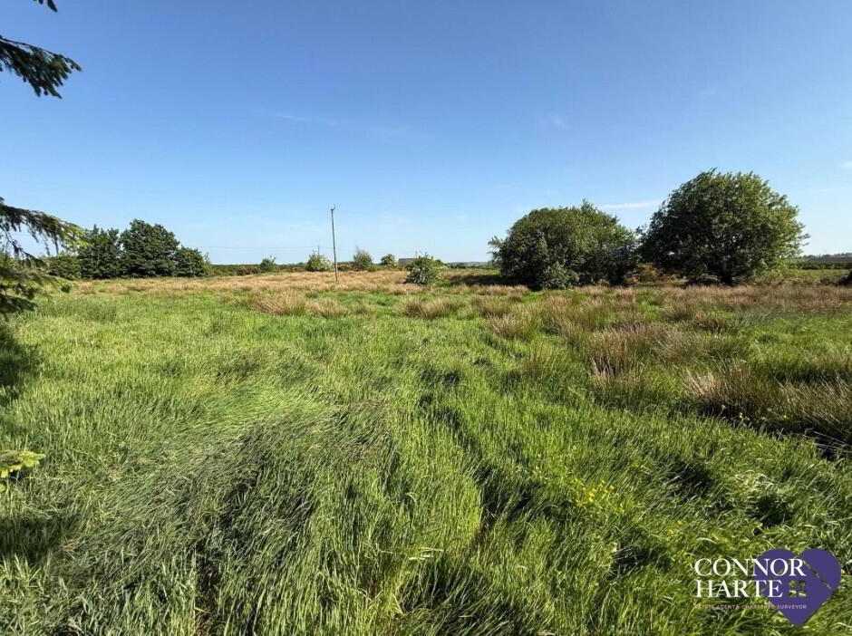 Lands At Killeenan Road & Baladoogh Road 18 of 19