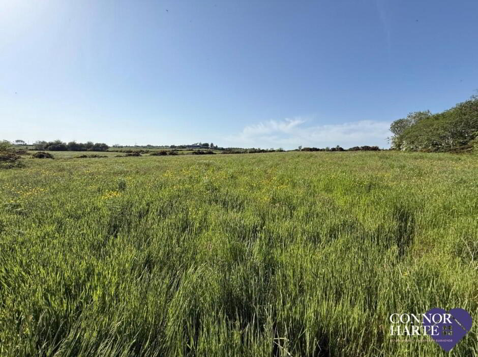 Lands At Killeenan Road & Baladoogh Road 19 of 19