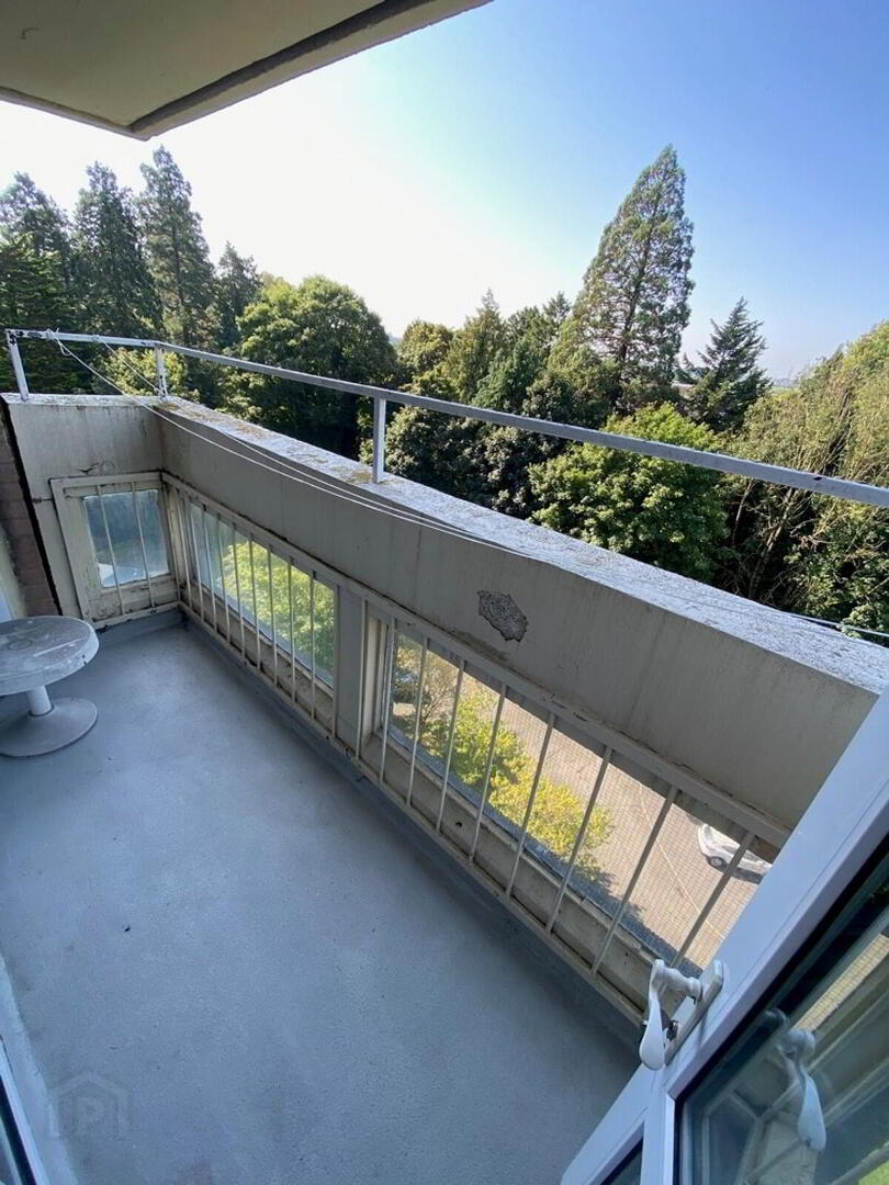 8d Ferndale House 12 of 13