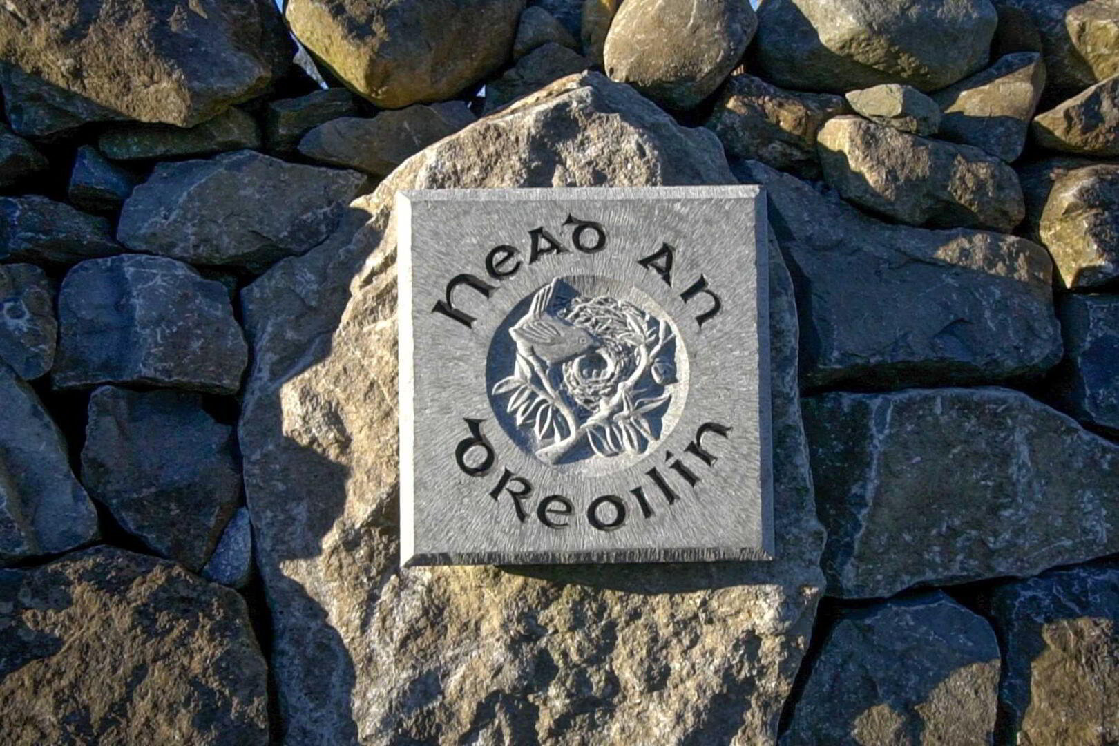 Nead An Dreoilín 42 of 43