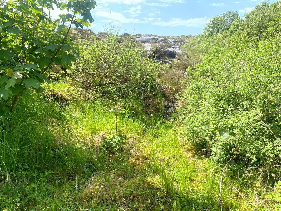 Annagry 7 of 8