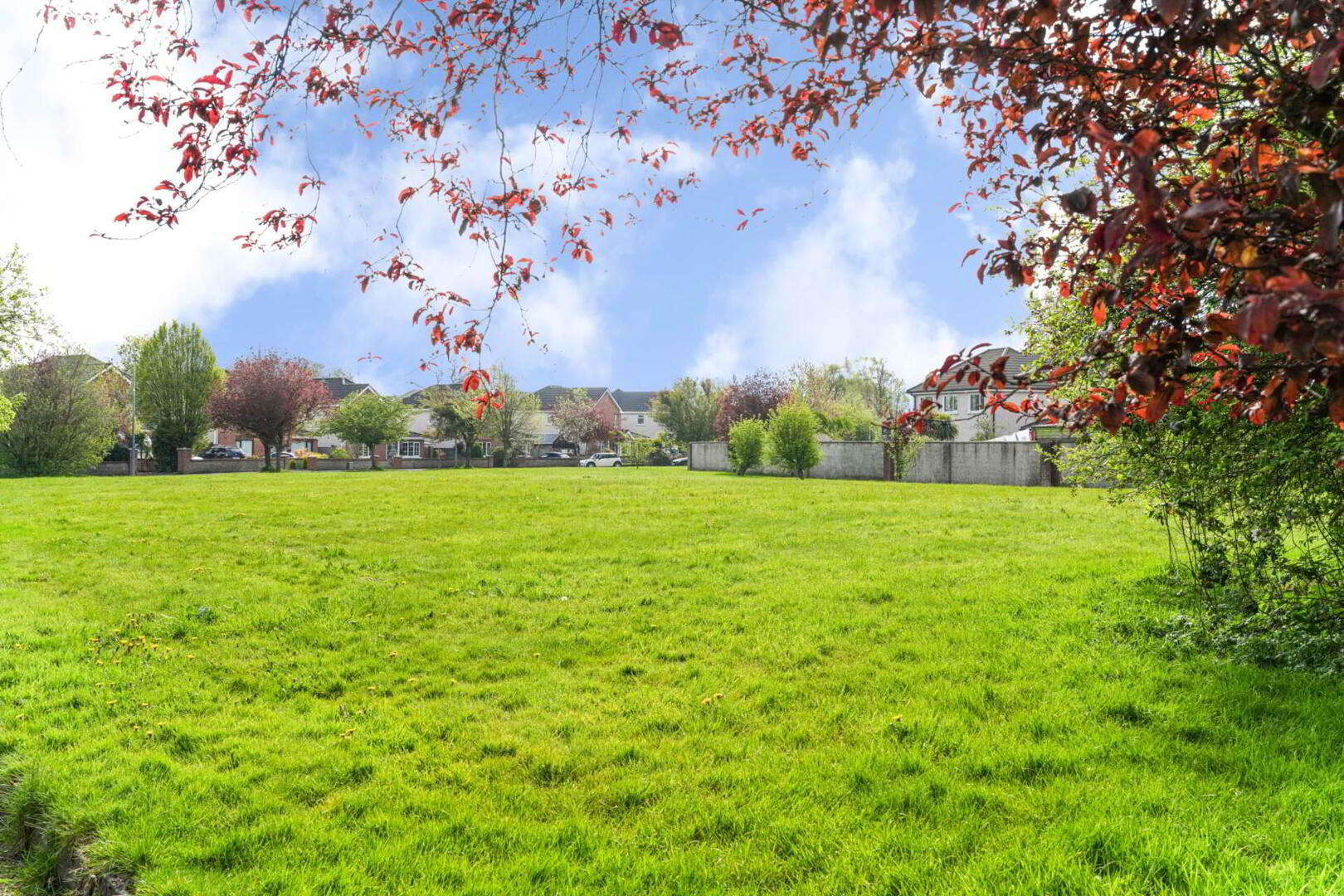 22 Beechwood 22 of 23