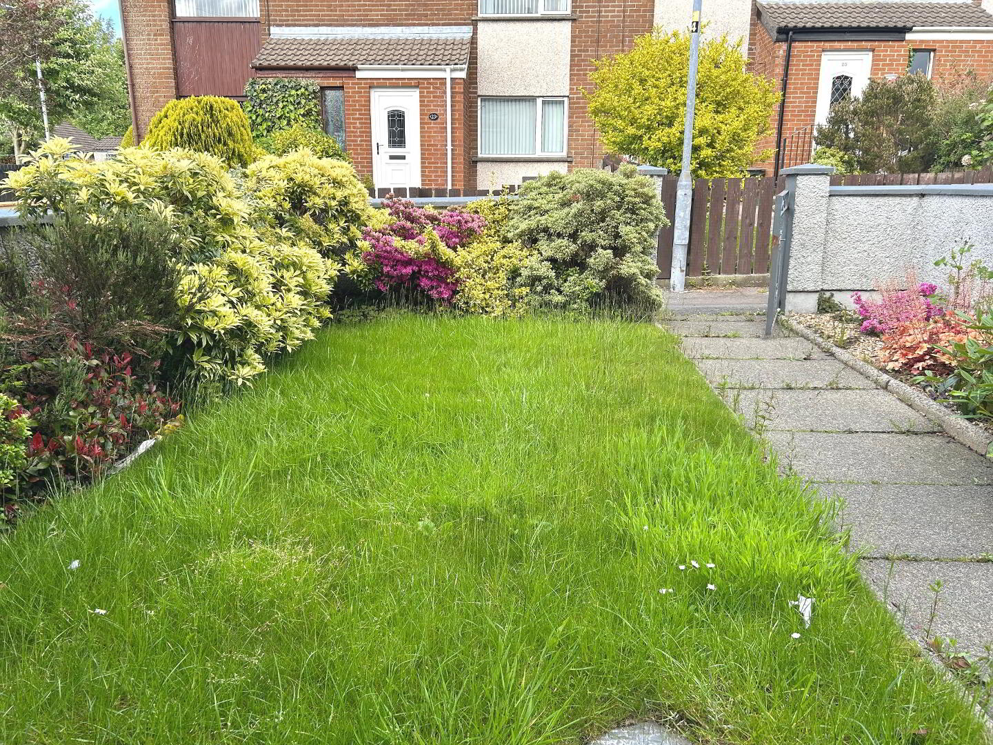 15 St. Malachys Avenue 22 of 23