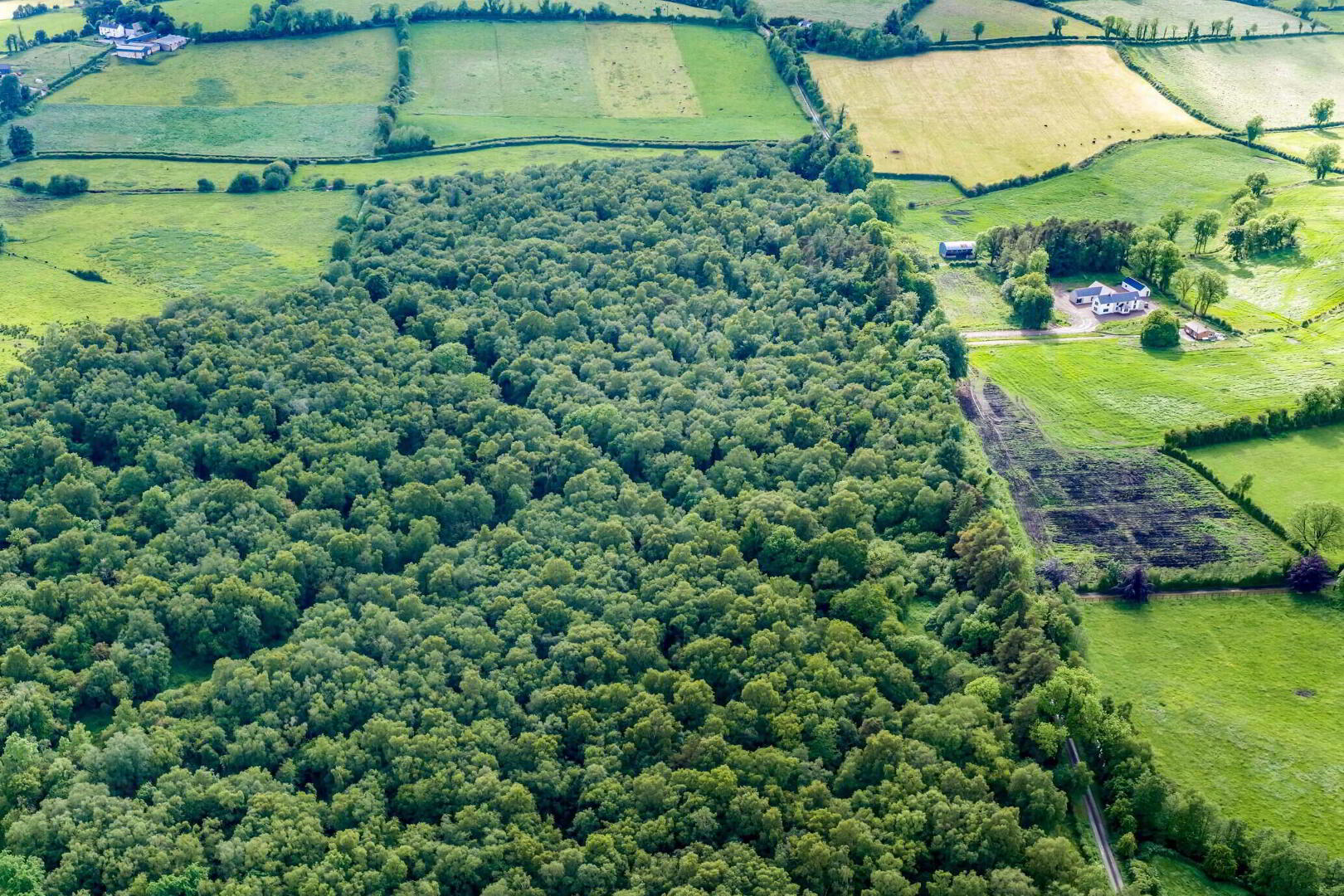 Lands, Rossarrell 3 of 5