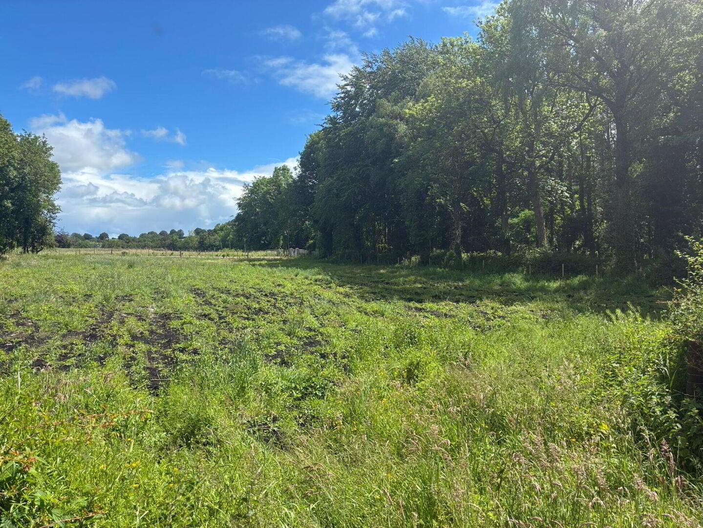 Site, Rossarrell 2 of 4