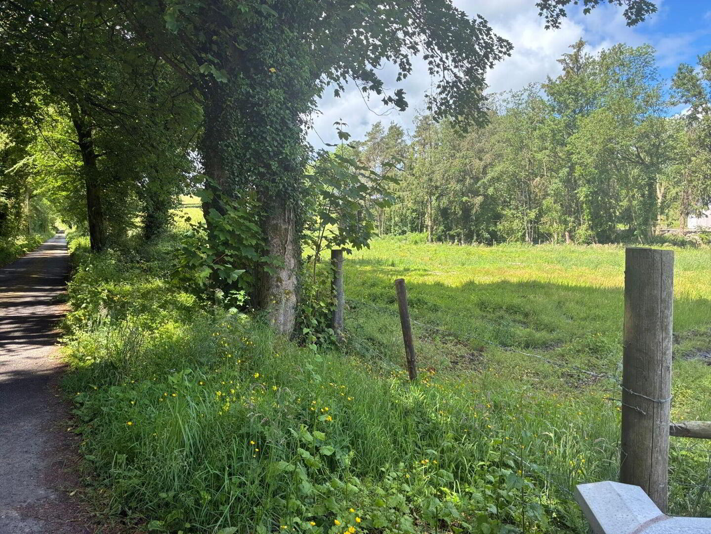 Site, Rossarrell 3 of 4