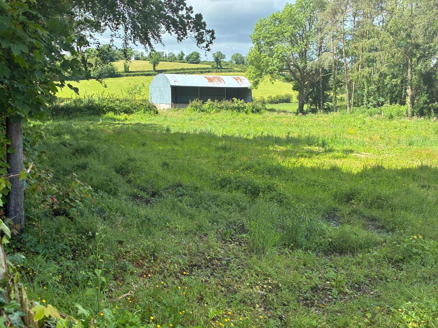 Site, Rossarrell 4 of 4