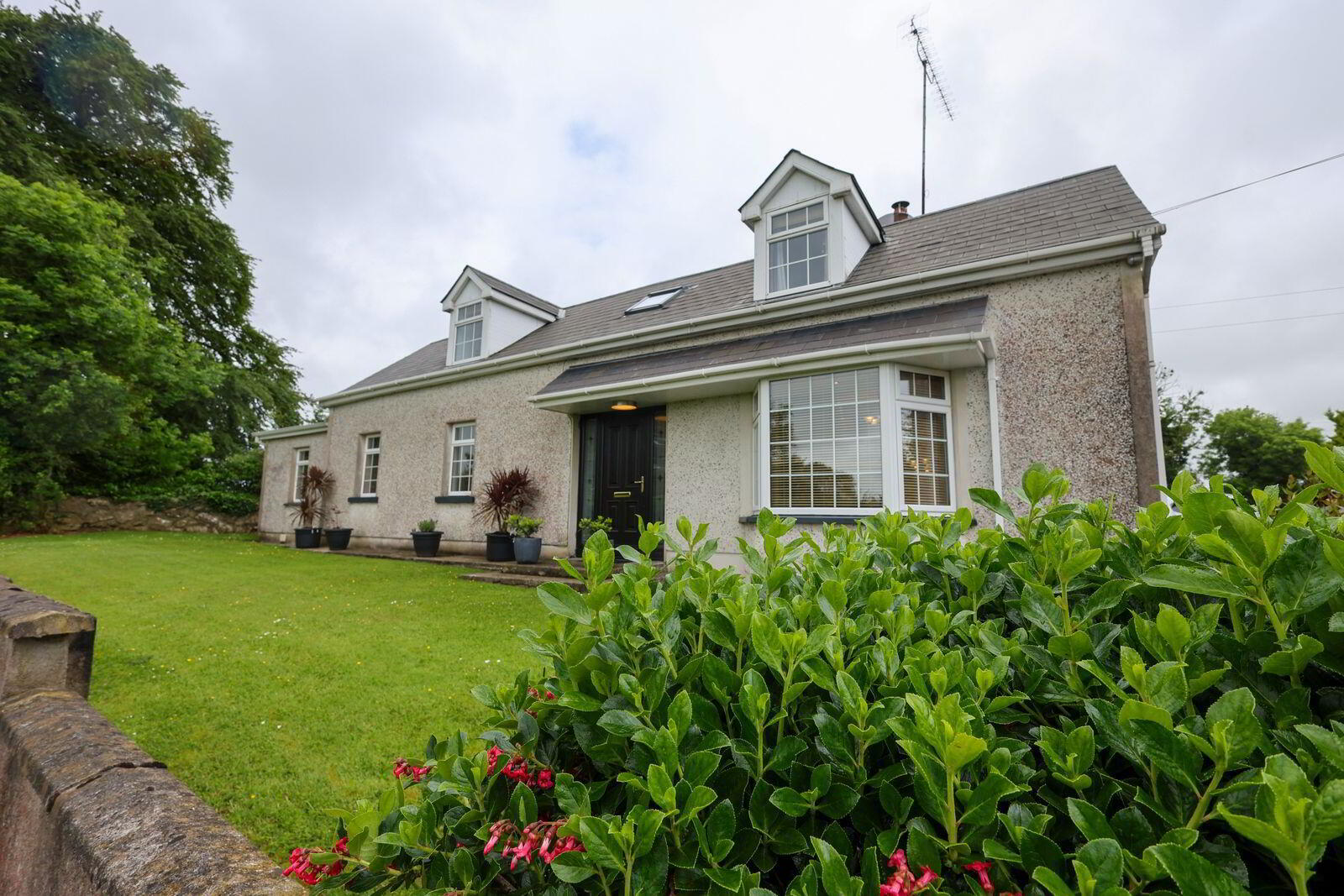 Martinstown 1 of 26
