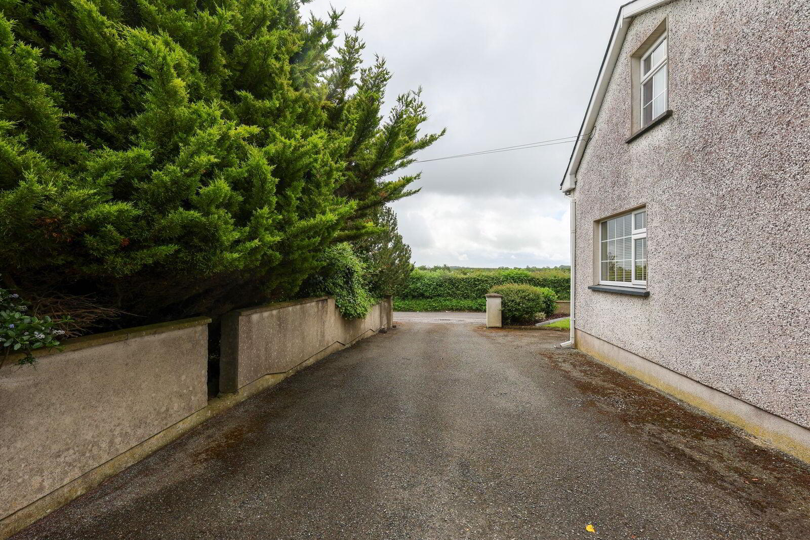 Martinstown 25 of 26